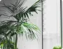 深度解析：热门足球赛事战术剖析 - 雷速体育比分官网